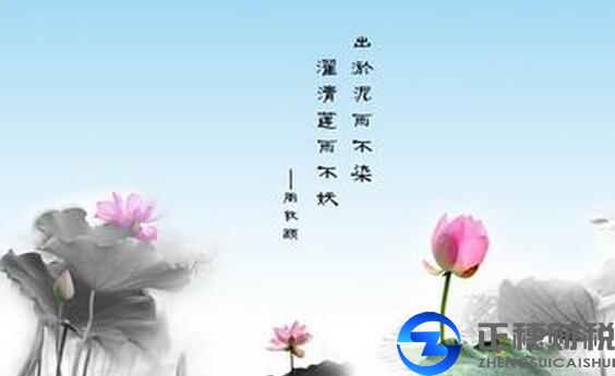 白云區(qū)服務(wù)好的外資企業(yè)財(cái)稅代理