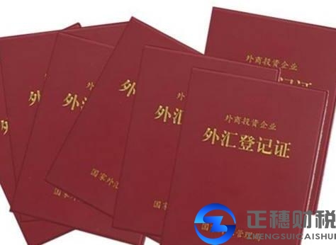 外商投資企業(yè)登記注冊