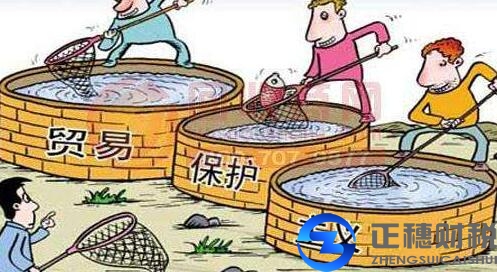 外國人在中國注冊公司是內(nèi)資還是外資